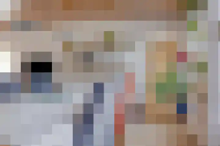 Borghoornsweg 12 Annen thumbnail 7