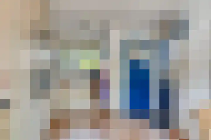 Borghoornsweg 12 Annen thumbnail 8