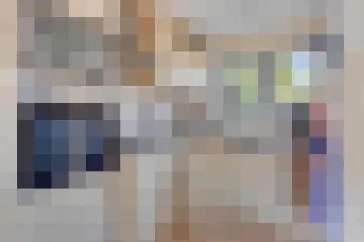 Borghoornsweg 12 Annen thumbnail 9