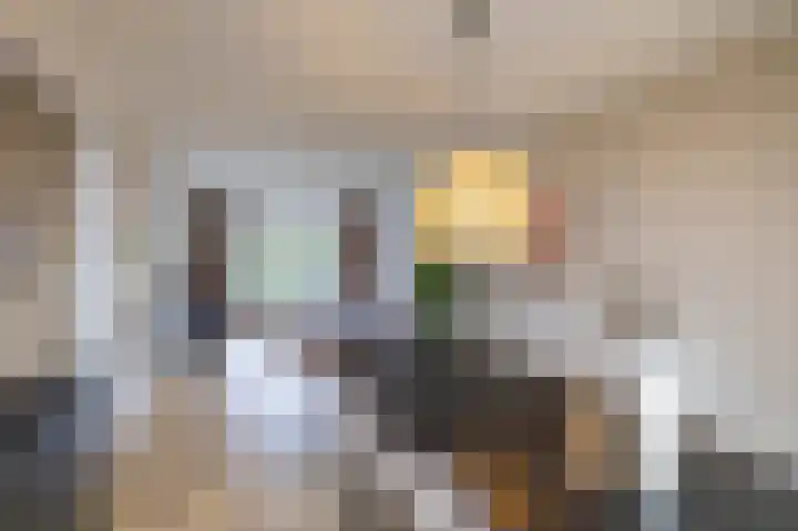 Borghoornsweg 30 Annen thumbnail 10