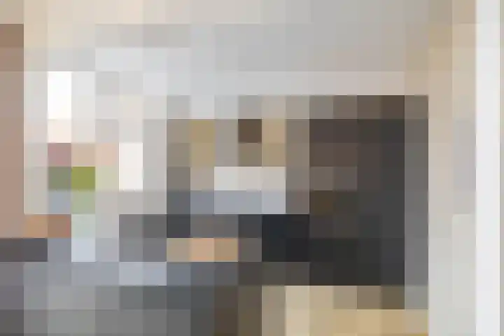 Borghoornsweg 30 Annen thumbnail 12