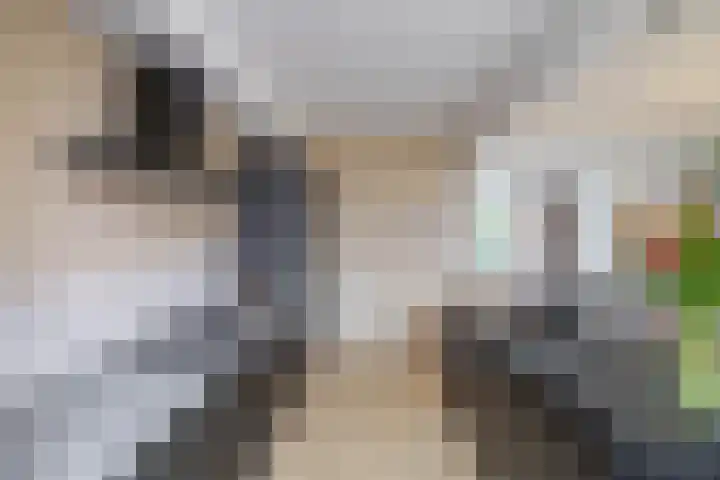 Borghoornsweg 30 Annen thumbnail 14
