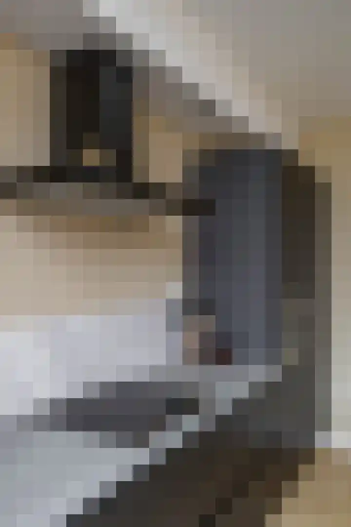 Borghoornsweg 30 Annen thumbnail 15