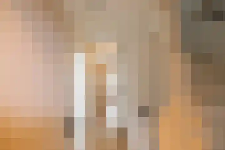 Borghoornsweg 30 Annen thumbnail 19