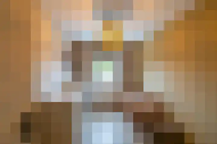 Borghoornsweg 30 Annen thumbnail 25