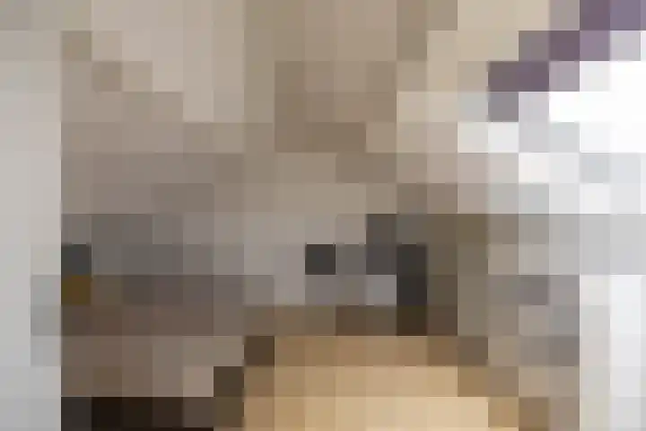 Borghoornsweg 30 Annen thumbnail 31