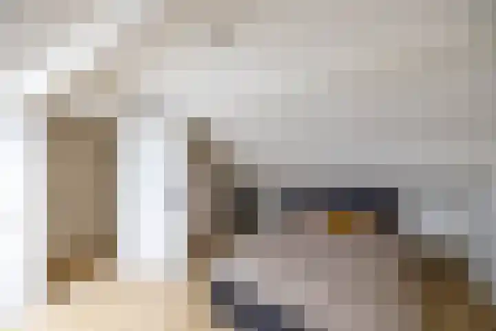 Borghoornsweg 30 Annen thumbnail 32