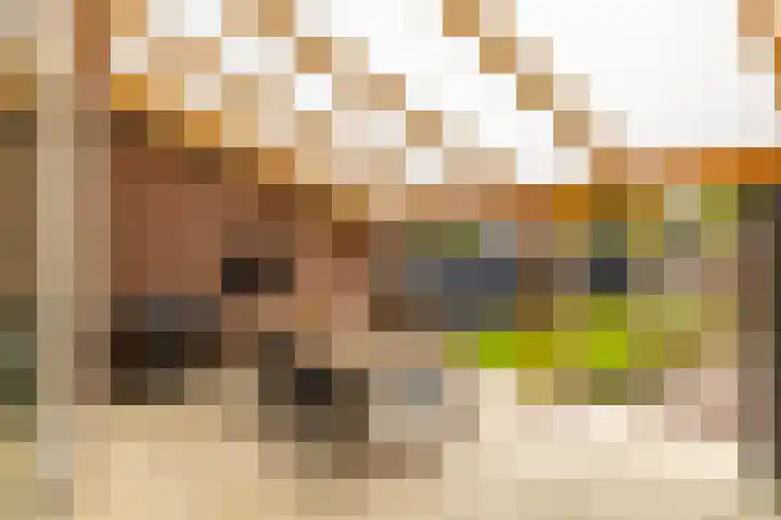 Borghoornsweg 30 Annen thumbnail 34