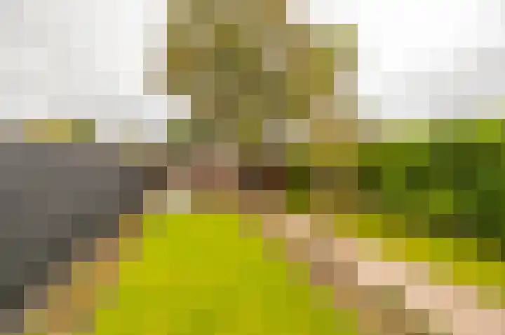 Borghoornsweg 30 Annen thumbnail 36