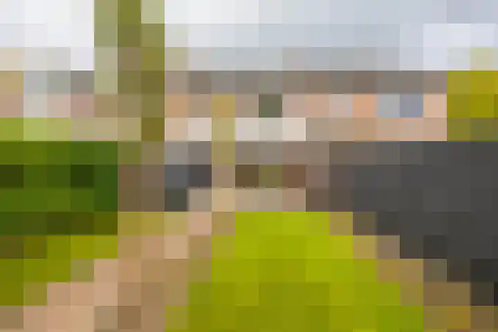 Borghoornsweg 30 Annen thumbnail 39