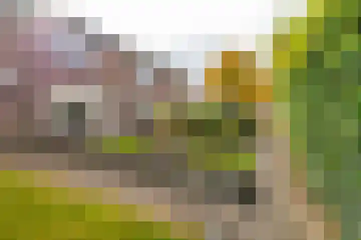 Borghoornsweg 30 Annen thumbnail 4