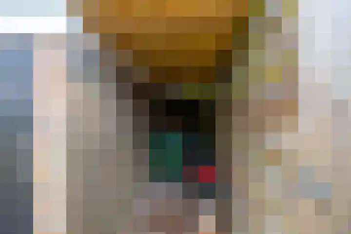 Borghoornsweg 30 Annen thumbnail 40