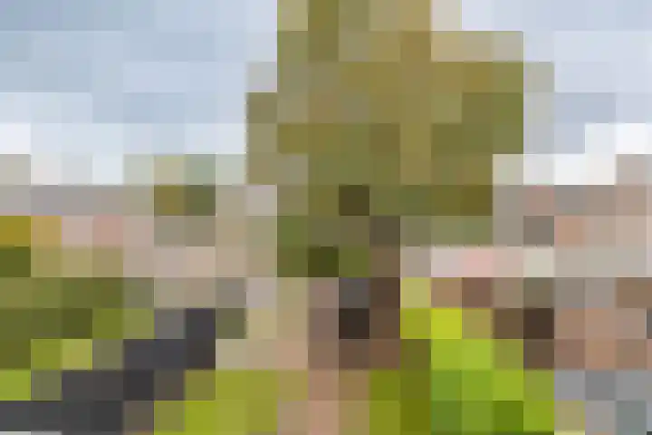Borghoornsweg 30 Annen thumbnail 41