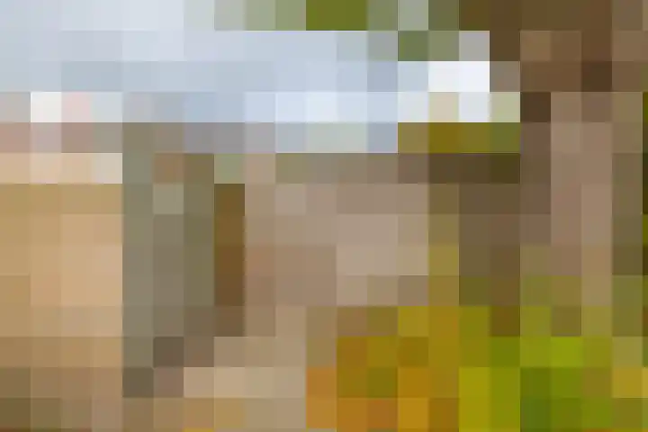 Borghoornsweg 30 Annen thumbnail 42