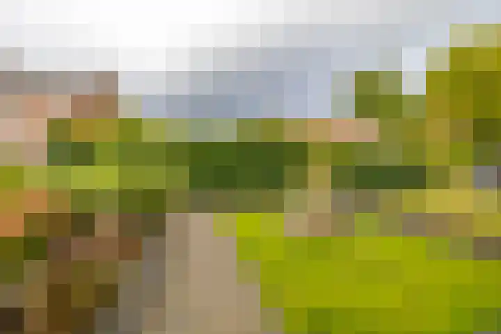 Borghoornsweg 30 Annen thumbnail 43