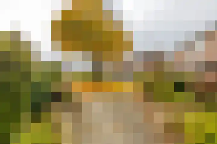 Borghoornsweg 30 Annen thumbnail 44