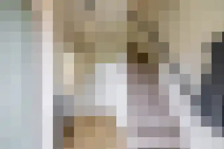 Borghoornsweg 30 Annen thumbnail 5