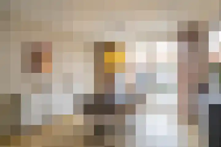 Borghoornsweg 30 Annen thumbnail 9