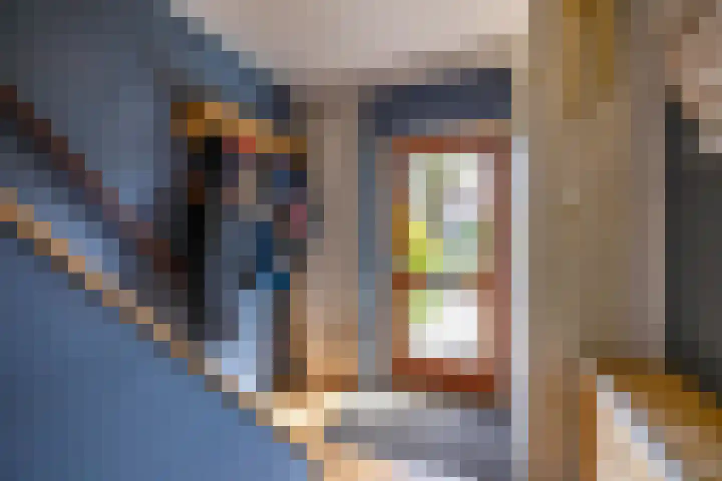 Borghoornsweg 42 Annen thumbnail 12