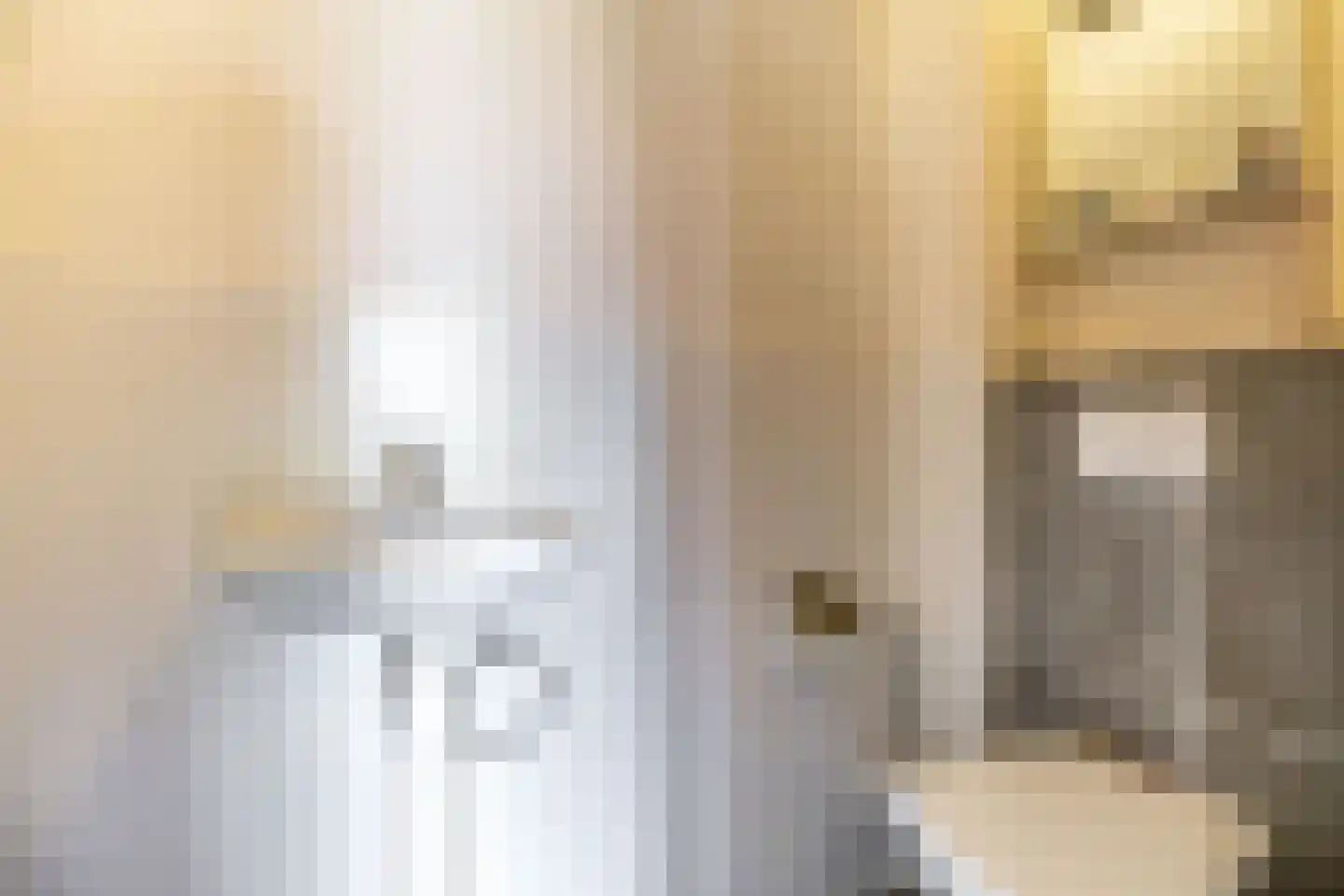 Borghoornsweg 42 Annen thumbnail 14