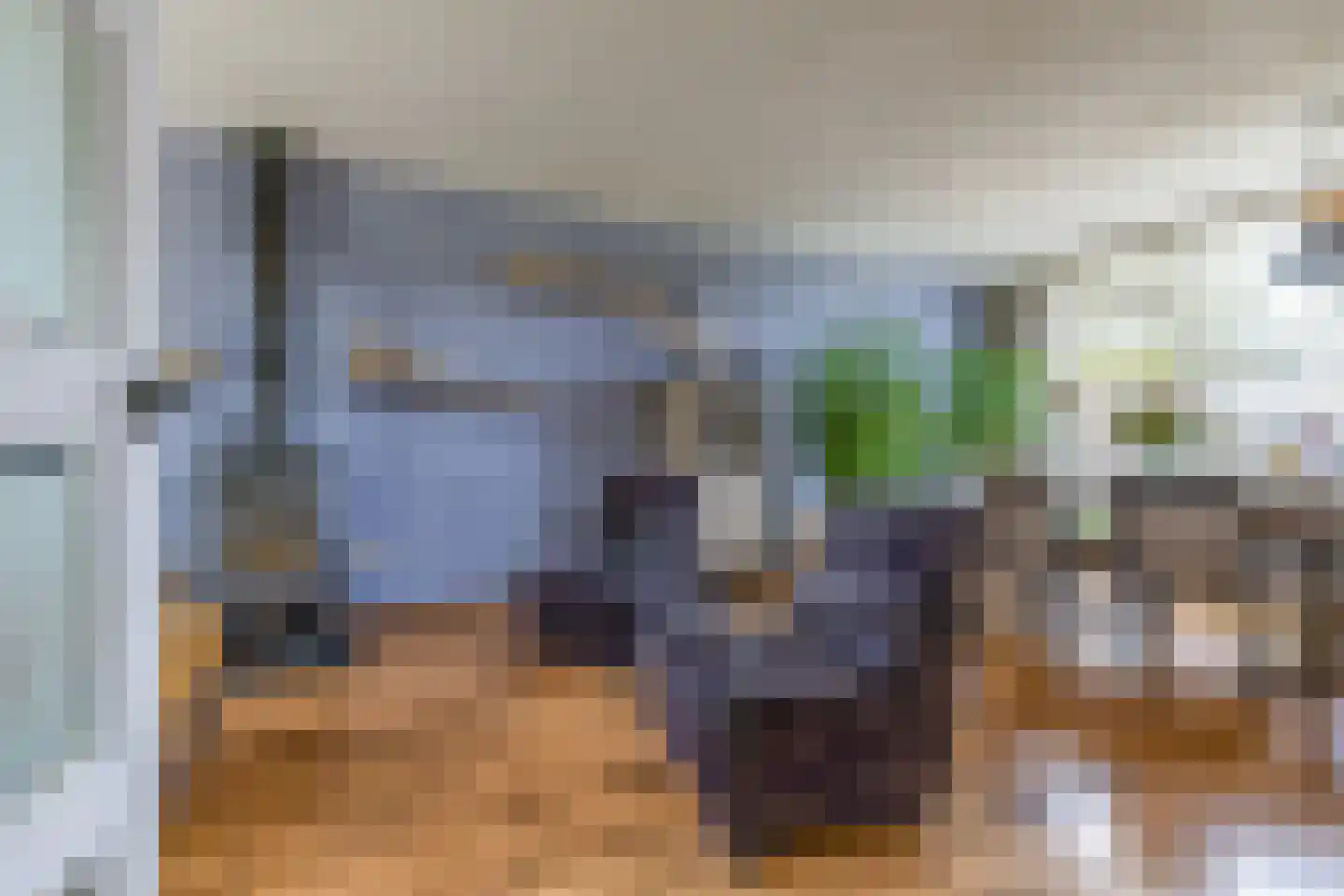 Borghoornsweg 42 Annen thumbnail 15
