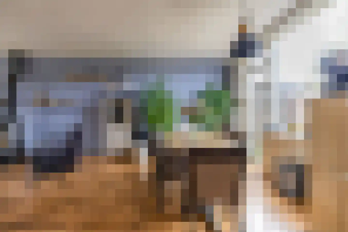 Borghoornsweg 42 Annen thumbnail 23