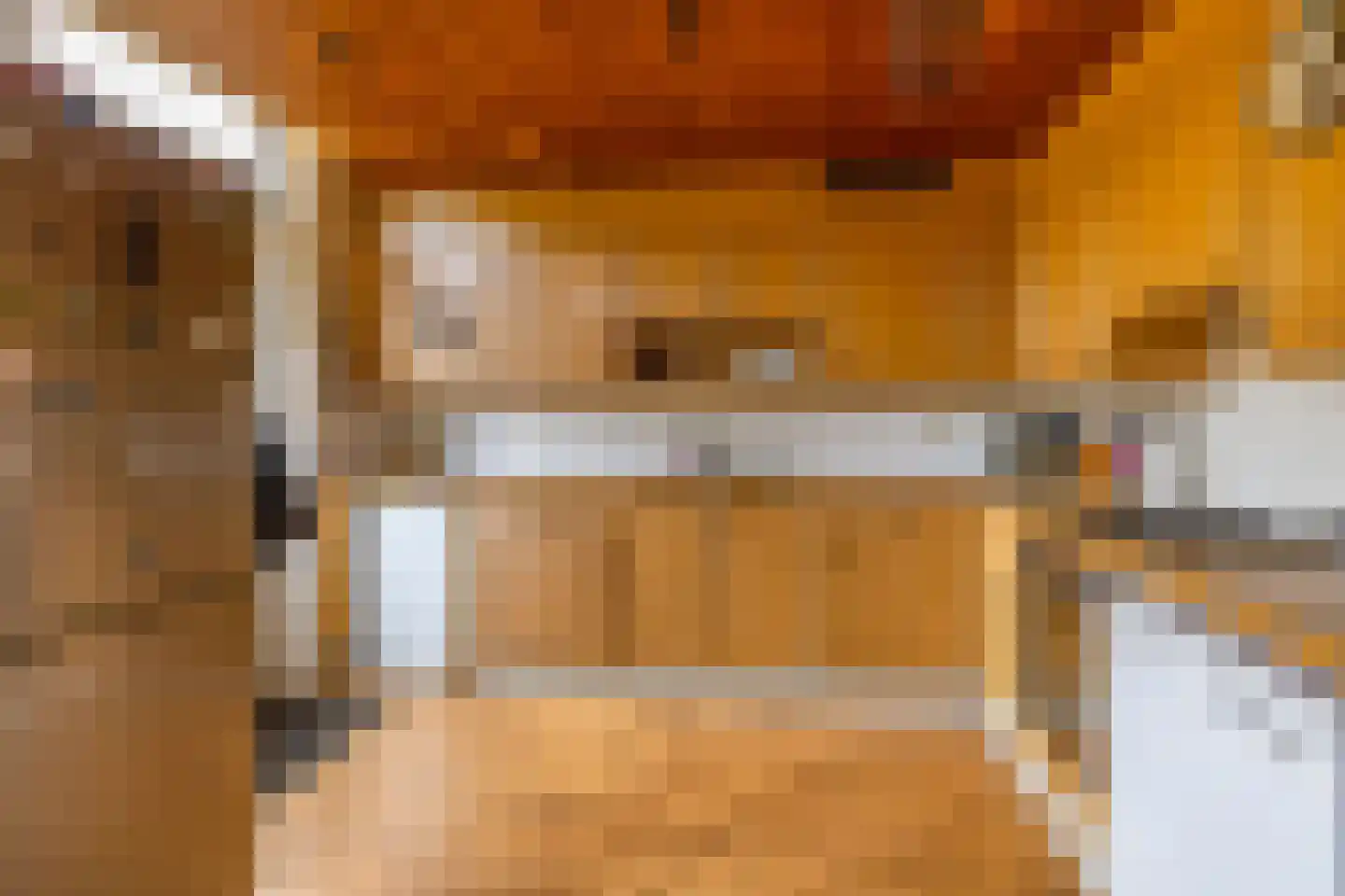 Borghoornsweg 42 Annen thumbnail 24