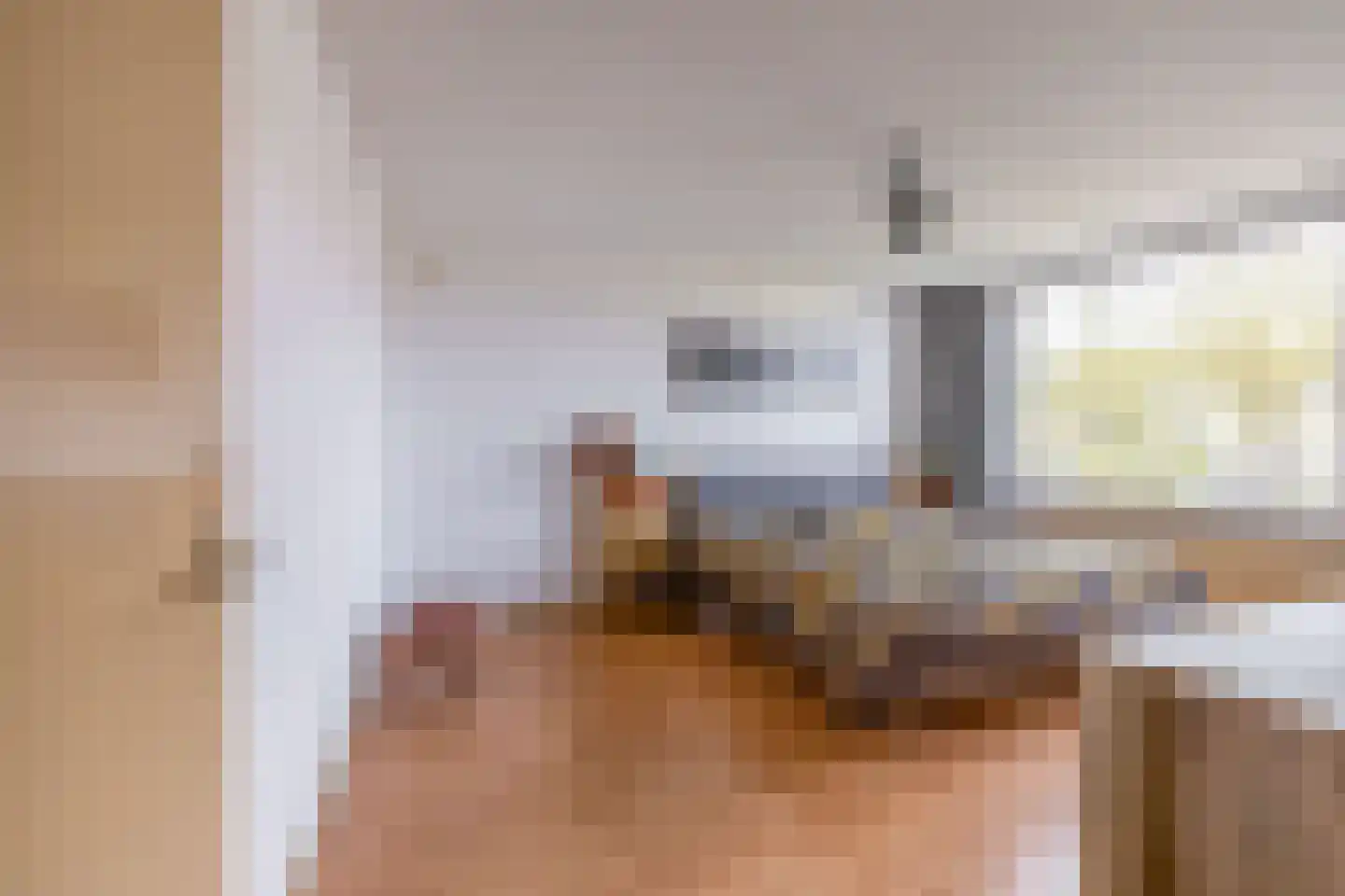 Borghoornsweg 42 Annen thumbnail 32