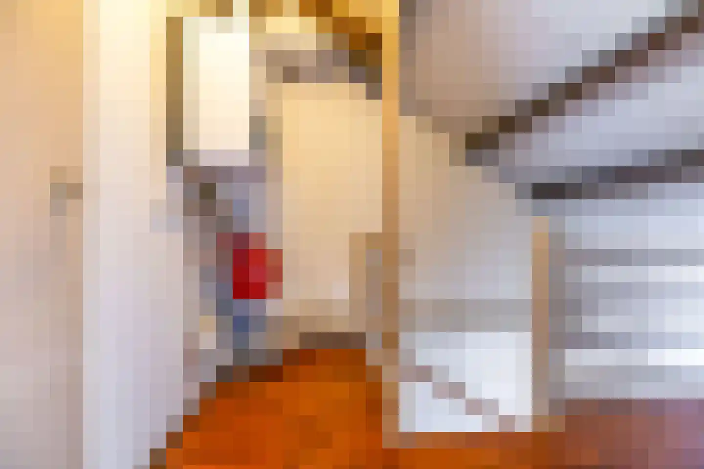 Borghoornsweg 42 Annen thumbnail 36