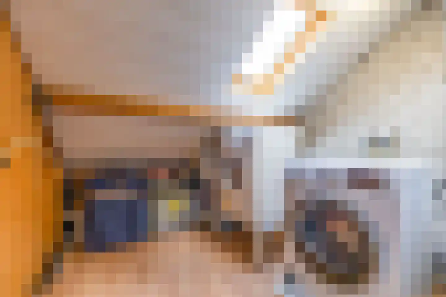 Borghoornsweg 42 Annen thumbnail 37