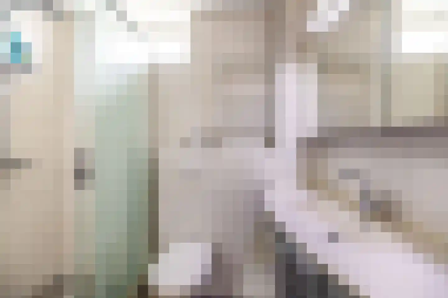 Borghoornsweg 42 Annen thumbnail 4