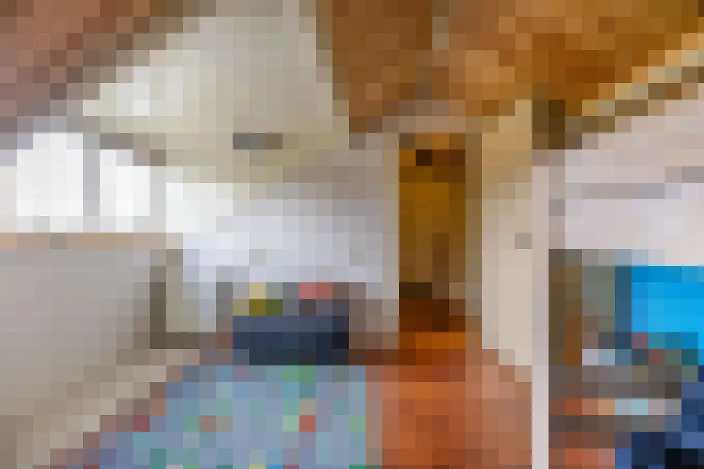 Borghoornsweg 42 Annen thumbnail 40