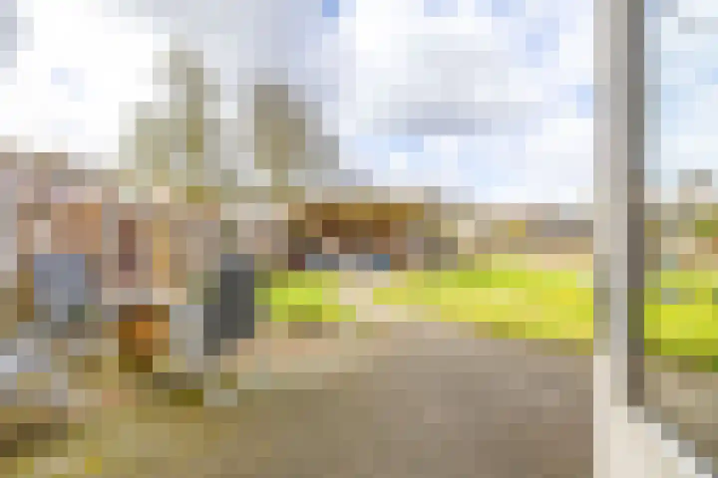 Borghoornsweg 42 Annen thumbnail 41