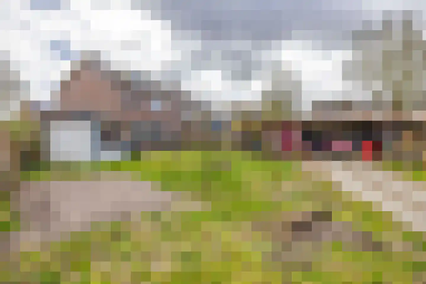 Borghoornsweg 42 Annen thumbnail 47