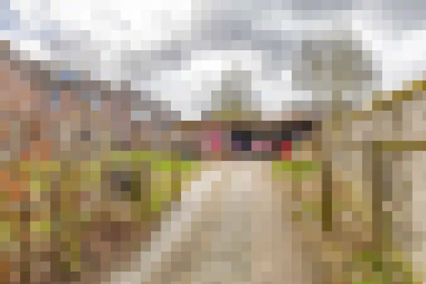 Borghoornsweg 42 Annen thumbnail 50