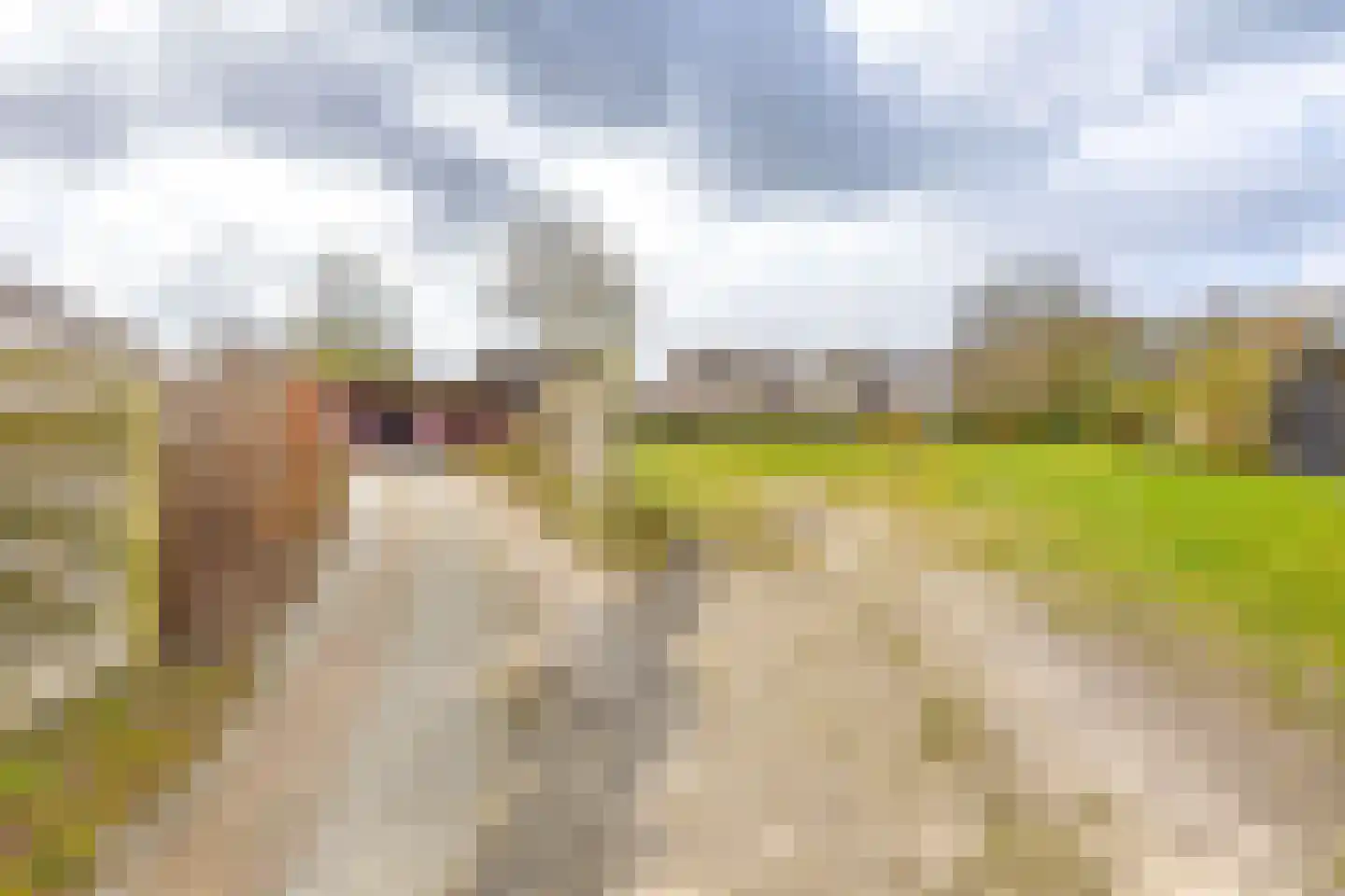 Borghoornsweg 42 Annen thumbnail 51