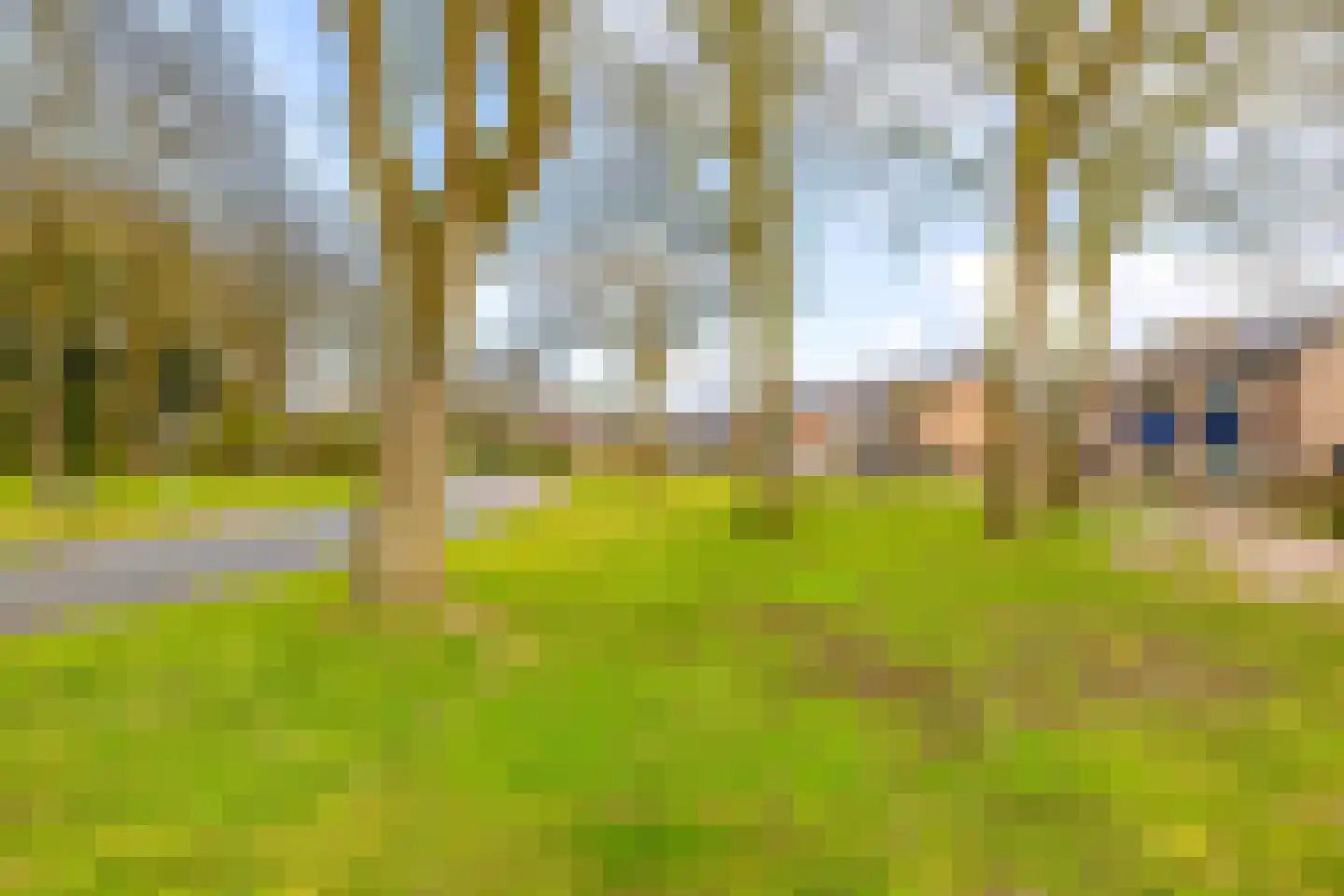 Borghoornsweg 42 Annen thumbnail 55