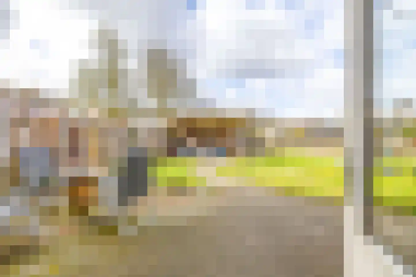 Borghoornsweg 42 Annen thumbnail 6
