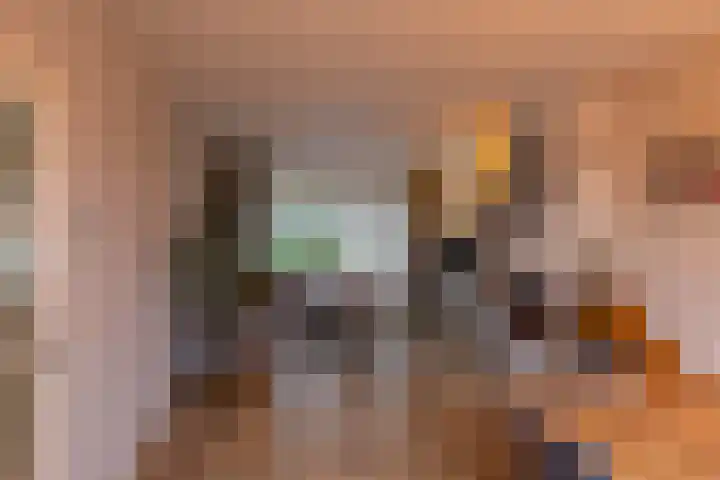 Borghoornsweg 5 Annen thumbnail 11
