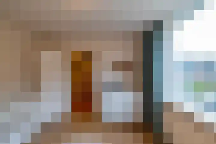Borghoornsweg 5 Annen thumbnail 18