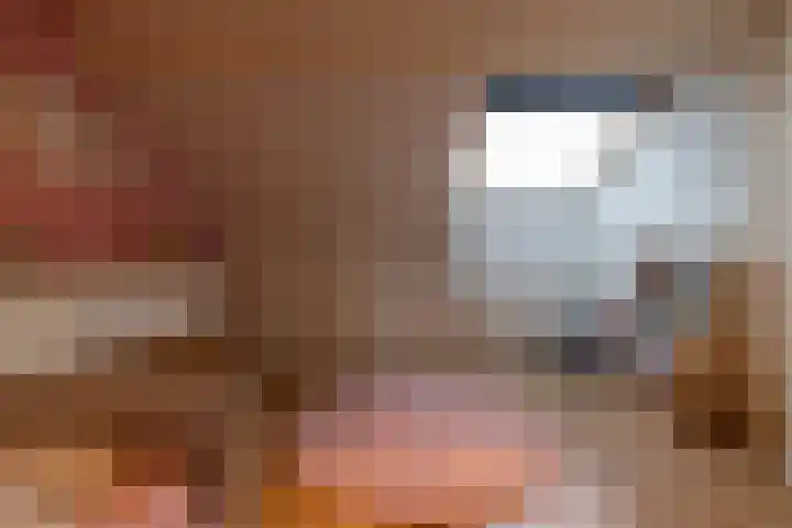 Borghoornsweg 5 Annen thumbnail 24