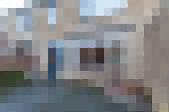Borghoornsweg 5 Annen thumbnail 26