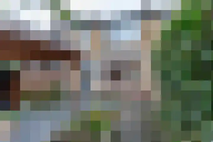 Borghoornsweg 5 Annen thumbnail 27