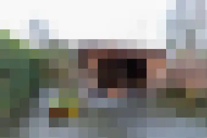 Borghoornsweg 5 Annen thumbnail 28