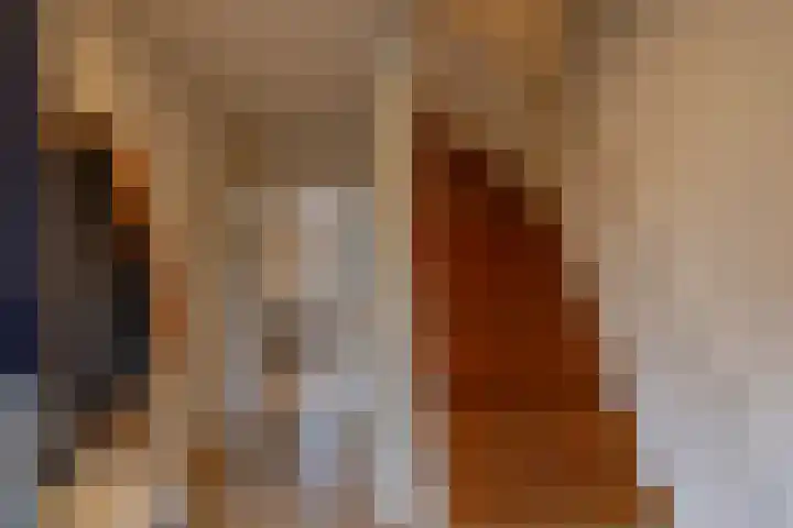 Borghoornsweg 5 Annen thumbnail 4