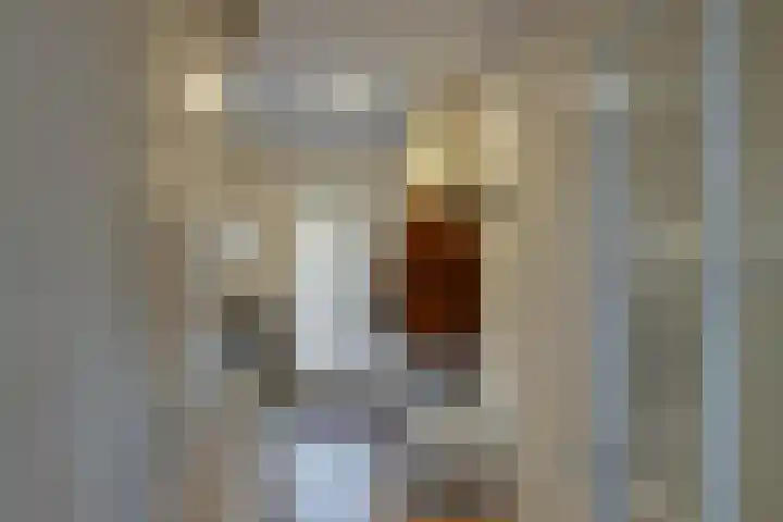 Borghoornsweg 5 Annen thumbnail 5
