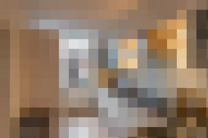 Borghoornsweg 5 Annen thumbnail 7