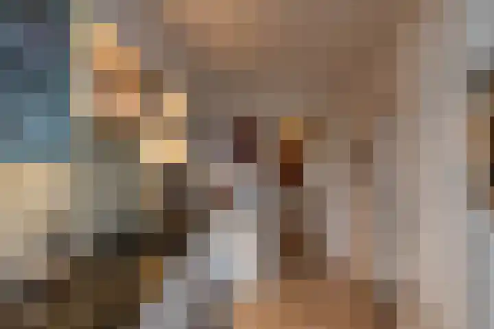 Borghoornsweg 5 Annen thumbnail 8