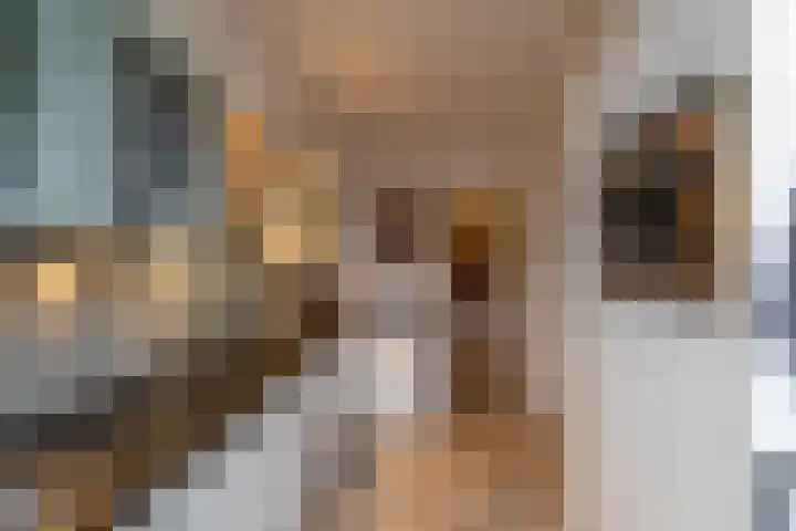 Borghoornsweg 5 Annen thumbnail 9