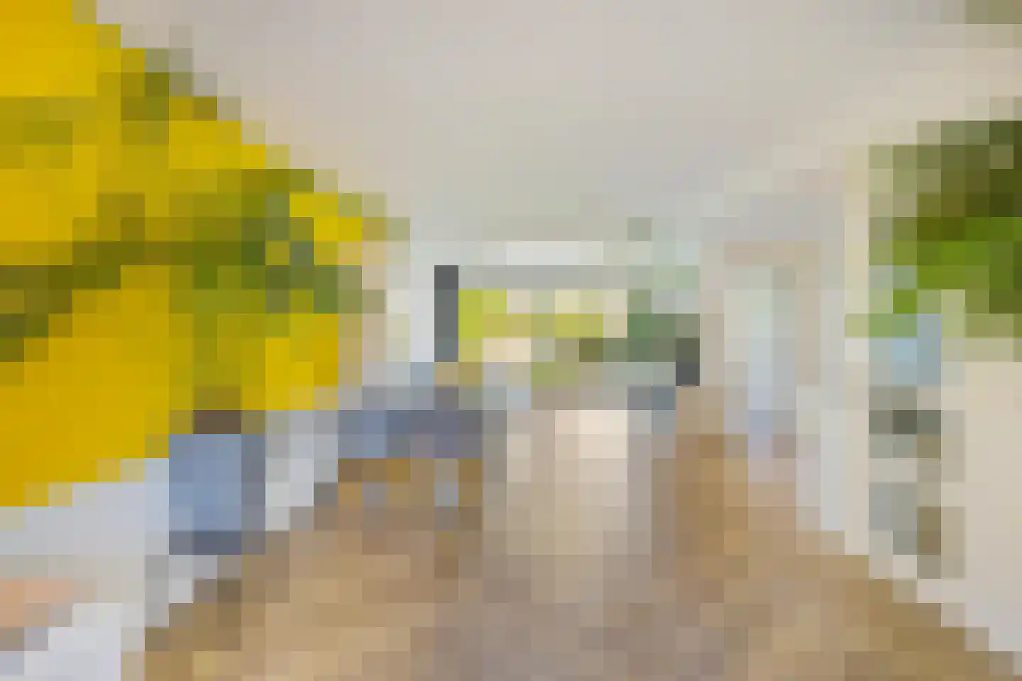 Borghoornsweg 56 Annen thumbnail 11